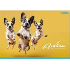 Альбом для малювання PB-GB-020-465-2 склейка 20 акрушів (PB-GB-020-465-2)