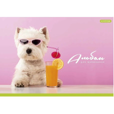 Альбом для малювання PB-GB-020-465-3 склейка 20 акрушів (PB-GB-020-465-3)