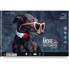 Альбом для малювання PB-SC-020-451-1 спіраль 20 аркушів (PB-SC-020-451-1)