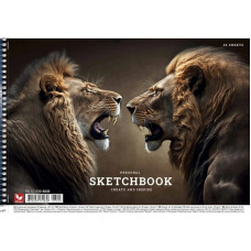 Альбом для малювання PB-SC-030-8008-1 спіраль 30 аркушів (PB-SC-030-8008-1)