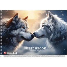 Альбом для малювання PB-SC-030-8008-2 спіраль 30 аркушів (PB-SC-030-8008-2)