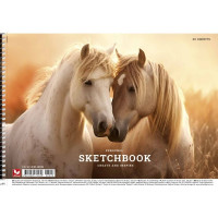 Альбом для малювання PB-SC-030-8008-3 спіраль 30 аркушів (PB-SC-030-8008-3)