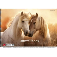 Альбом для малювання PB-SC-030-8008-3 спіраль 30 аркушів (PB-SC-030-8008-3)