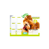 Ламінований розклад уроків РУ-Л-А4 формат А4 (РУ-Л-А4-1)