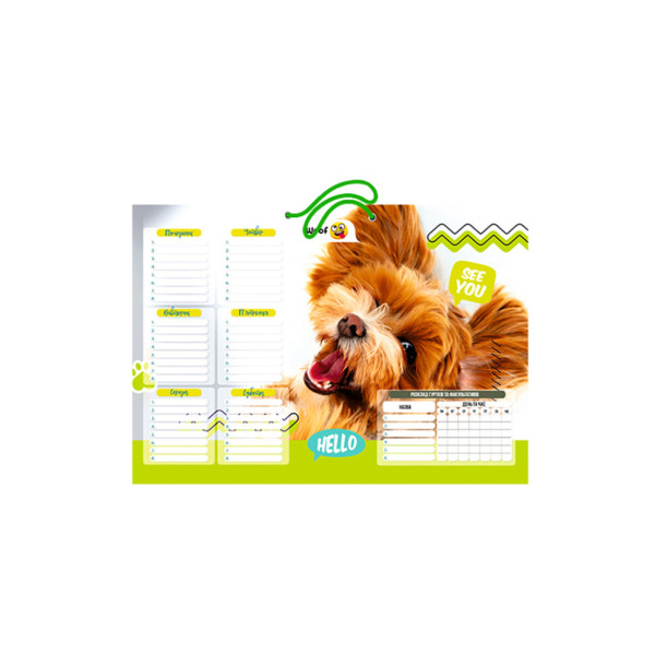 Ламінований розклад уроків РУ-Л-А4 формат А4 (РУ-Л-А4-1)