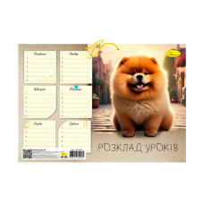 Ламінований розклад уроків АП-0801 формат А4 (АП-0801-3)