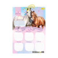 Ламінований розклад уроків АП-0802 формат А3  (АП-0802-1)