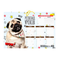 Ламінований розклад уроків АП-0802 формат А3  (АП-0802-4)