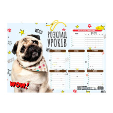 Ламінований розклад уроків АП-0802 формат А3  (АП-0802-4)