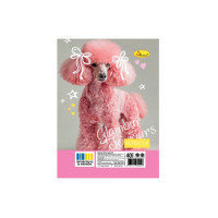 Блокнот А6 АП-1710-9, 40 аркушів, пружина збоку (АП-1710-9)