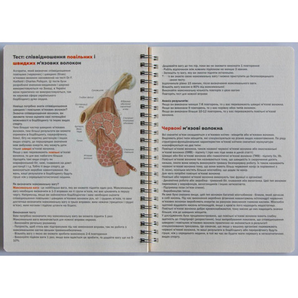 Щоденник тренувань "Для нього" А5 15103-KR, на пружині (15103-KR)