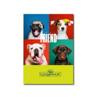 Щоденник учнівський "Стандарт" АП-0103-9 на скобі (АП-0103-7)