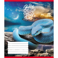 Тетрадь ученическая "Животные" 018-530247K-5 в клеточку, 18 листов(018-530247K-5)