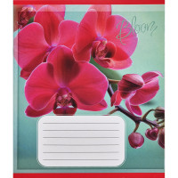 Зошит учнівський "Орхідеї" 018-530261K-5 в клітинку, 18 аркушів (018-530261K-5)