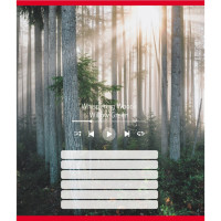 Тетрадь ученическая "Мелодия природы" 024-550252K-3 в линию, 18 листов(024-550252K-3)