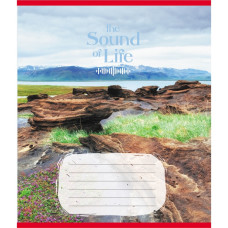 Тетрадь ученическая "Музыка жизни" 036-580266L-5 в линию, 36 листов (036-580266L-5)