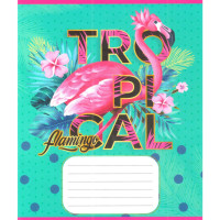 Зошит учнівський "Рожевий фламінго" 012-500059K-1 в клітинку, 12 аркушів (959050) (012-500059K-1)