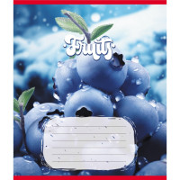 Зошит учнівський "Фрукти" 012-500028K-2 в клітинку, 12 аркушів (959050) (012-500028K-2)