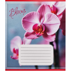 Зошит учнівський "Орхідеї" 018-530261K-1 в клітинку, 18 аркушів (018-530261K-1)