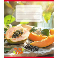 Тетрадь ученическая "Фрукты" 036-580143L-5 в линию, 36 листов (036-580143L-5)