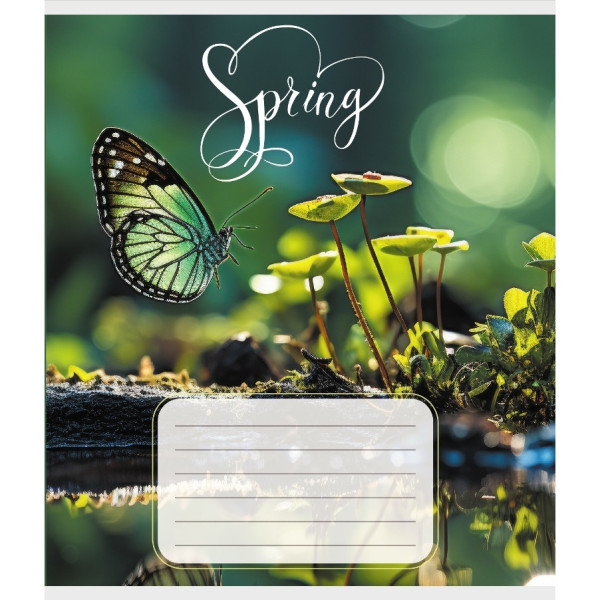 Зошит учнівський "Метелик весною" 018-530216K-4 в клітинку, 18 аркушів (018-530216K-4)