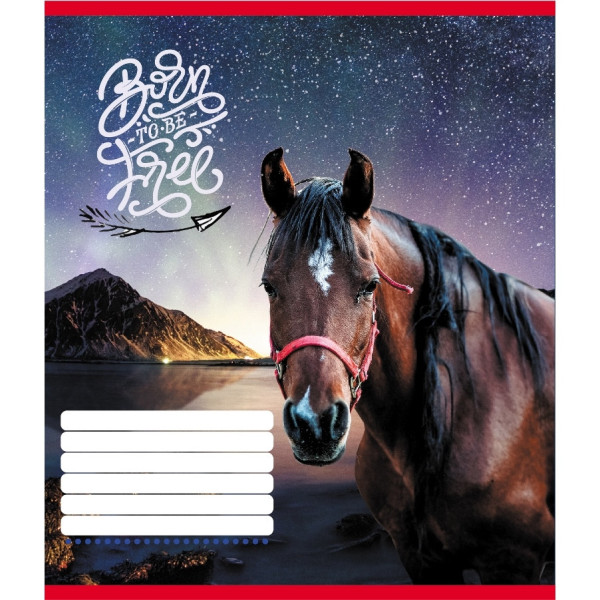 Зошит учнівський "Тварини" 018-530247K-1 в клітинку, 18 аркушів (018-530247K-1)