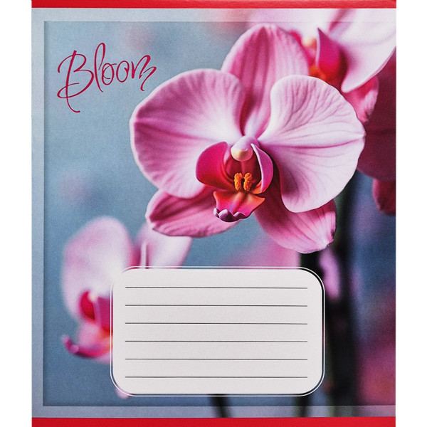 Зошит учнівський "Орхідеї" 018-530261K-1 в клітинку, 18 аркушів (018-530261K-1)