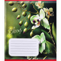 Зошит учнівський "Орхідеї" 018-530261K-2 в клітинку, 18 аркушів (018-530261K-2)