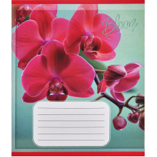 Зошит учнівський "Орхідеї" 018-530261K-5 в клітинку, 18 аркушів (018-530261K-5)
