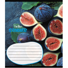 Зошит учнівський "Фруктовий сет" 018-530414K-5 в клітинку, 18 аркушів (018-530414K-5)