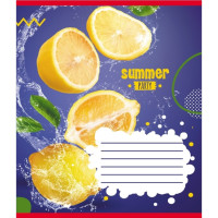 Зошит учнівський "Фрукти у воді" 024-550016K-1 в клітинку, 24 аркуші (024-550016K-1)