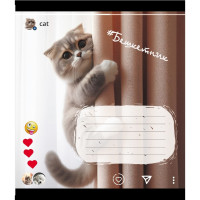 Зошит учнівський "Кішка" 024-550351K-1 в клітинку, 24 аркуші (024-550351K-1)