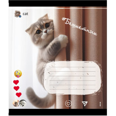 Зошит учнівський "Кішка" 024-550351K-1 в клітинку, 24 аркуші (024-550351K-1)