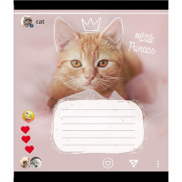 Зошит учнівський "Кішка" 024-550351K-2 в клітинку, 24 аркуші (024-550351K-2)