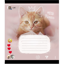 Зошит учнівський "Кішка" 024-550351K-2 в клітинку, 24 аркуші (024-550351K-2)