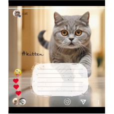 Зошит учнівський "Кішка" 024-550351K-5 в клітинку, 24 аркуші (024-550351K-5)