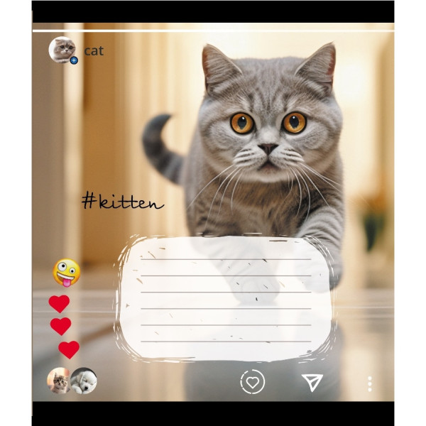 Зошит учнівський "Кішка" 024-550351K-5 в клітинку, 24 аркуші (024-550351K-5)