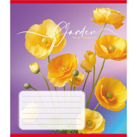 Зошит учнівський "Естетика" 024-550443K-2 в клітинку, 24 аркуші (024-550443K-2)