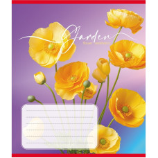 Зошит учнівський "Естетика" 024-550443K-2 в клітинку, 24 аркуші (024-550443K-2)