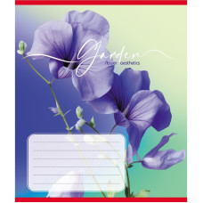 Зошит учнівський "Естетика" 024-550443K-3 в клітинку, 24 аркуші (024-550443K-3)