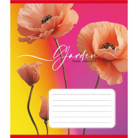 Зошит учнівський "Естетика" 024-550443K-5 в клітинку, 24 аркуші (024-550443K-5)