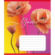 Зошит учнівський "Естетика" 024-550443K-5 в клітинку, 24 аркуші (024-550443K-5)