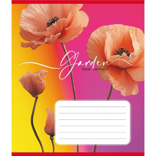 Зошит учнівський "Естетика" 024-550443K-5 в клітинку, 24 аркуші (024-550443K-5)