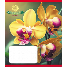 Зошит учнівський "Орхідея" 036-570137K-1 в клітинку, 36 аркушів (036-570137K-1)