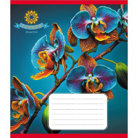 Зошит учнівський "Орхідея" 036-570137K-2 в клітинку, 36 аркушів (036-570137K-2)