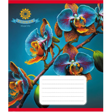 Зошит учнівський "Орхідея" 036-570137K-2 в клітинку, 36 аркушів (036-570137K-2)