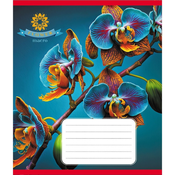 Зошит учнівський "Орхідея" 036-570137K-2 в клітинку, 36 аркушів (036-570137K-2)