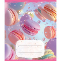 Зошит загальний "Макаруни" 048-590197K-3 в клітинку, 48 аркушів (048-590197K-3)