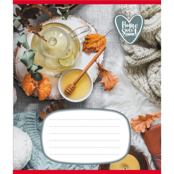 Зошит учнівський "Домашній затишок" 018-540253L-2 в лінію, 18 аркушів  (018-540253L-2)