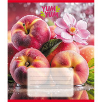 Зошит учнівський "Фрукти" 036-580143L-1 в лінію, 36 аркушів  (036-580143L-1)